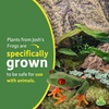 image:imageJoshs Frogs12x12x18 Tropical Vivarium Plant Kit12 in x 12 in x 18 in Terrarium