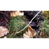 image:imageUniversal Rock Joshs Frogs PolyHut Artificial Coconut Hide