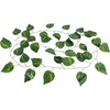 image:imageJoshs Frogs Artificial Evergreen Reptile Vine