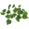 image:imageJoshs Frogs Artificial Grape Vine