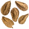 image:imageJoshs Frogs Indian Almond Leaves 5 Pack