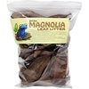 image:imageJoshs Frogs Organic Magnolia Leaf Litter 1 Gallon40 Leaves