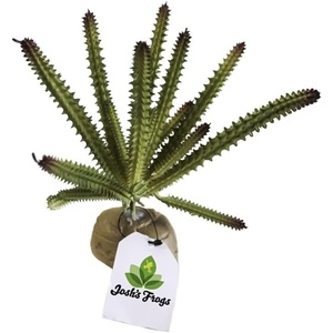 image:imageJoshs Frogs Arid Artificial Plants for Reptiles EuphorbiaEuphorbia