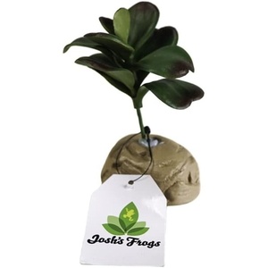 image:imageJoshs Frogs Arid Artificial Plants for Reptiles EuphorbiaJade Succulent