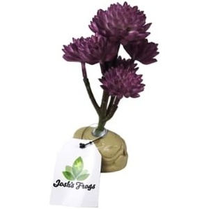 image:imageJoshs Frogs Arid Artificial Plants for Reptiles EuphorbiaRed Clover