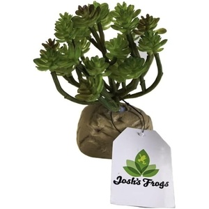 image:imageJoshs Frogs Arid Artificial Plants for Reptiles EuphorbiaSucculent Bunch