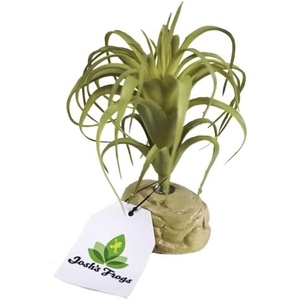 image:imageJoshs Frogs Arid Artificial Plants for Reptiles EuphorbiaTillandsia