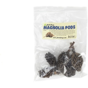image:imageJoshs Frogs Magnolia Pods Includes 5 Pods