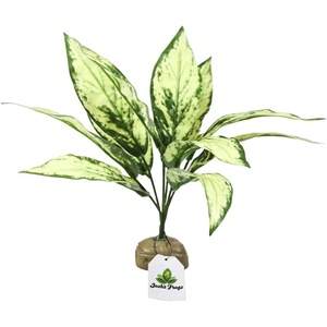 image:imageJoshs Frogs Tropical Artificial Reptile and Amphibian Plants DracaenaAglaonema Green