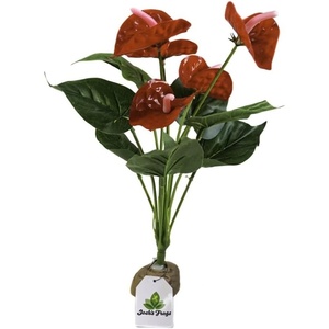 image:imageJoshs Frogs Tropical Artificial Reptile and Amphibian Plants DracaenaAnthurium