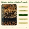 image:imageJoshs Frogs ABG Mix Bioactive Terrarium Substrate 4 Quart1 Gallon122 x 878 x 457 inches