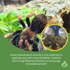 image:imageJoshs Frogs Arachnid BioBedding Bioactive Substrate 1 QuartExtra Small