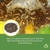 image:imageJoshs Frogs Arachnid BioBedding Bioactive Substrate 1 QuartSmall