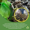 image:imageJoshs Frogs BioBedding Tropical Bioactive Substrate 4 Quarts10 Quart Pack of 2