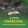 image:imageJoshs Frogs Charcoal 4 qt
