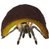 image:imageJoshs Frogs HalfLog Herp Hide MiniSmall