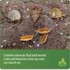 image:imageJoshs Frogs Hermit Crab BioBedding Bioactive Substrate 4 Quart4 Quart Sand included