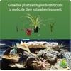 image:imageJoshs Frogs Hermit Crab BioBedding Bioactive Substrate 4 Quart4 Quart Sand included