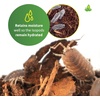 image:imageJoshs Frogs Isopod Substrate 4 qt