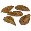 image:imageJoshs Frogs Madagascar Hissing Cockroach Bundle
