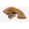 image:imageJoshs Frogs Rock Cave Herp Hide LargeLarge