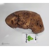 image:imageJoshs Frogs Rock Cave Herp Hide LargeMedium