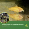 image:imageJoshs Frogs Dechlorinator Tap Water Conditioner 4 oz4 Oz