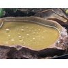 image:imageJoshs Frogs Rock Water Bowls SmallMedium