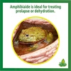 image:imageJoshs Frogs Amphibiaide Amphibian Ringers Solution Concentrate 16 oz
