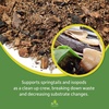 image:imageJoshs Frogs BioBedding PACMAN Bioactive Substrate 4 Quart4 Quart