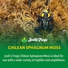 image:imageJoshs Frogs Chilean Sphagnum Moss 100g Bag100g