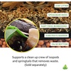 image:imageJoshs Frogs Dart Frog Biobedding Bioactive Vivarium Substrate 4 Quart