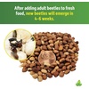 image:imageJoshs Frogs Bean Beetle Food 1 Quart