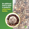 image:imageJoshs Frogs Bean Beetle Food 1 Quart