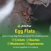 image:imageJoshs Frogs Egg Flats for Feeder Insect Colonies 15 Count15 Count