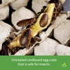 image:imageJoshs Frogs Egg Flats for Feeder Insect Colonies 15 Count15 Count