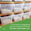 image:imageJoshs Frogs Egg Flats for Feeder Insect Colonies 15 Count15 Count