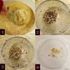 image:imageJoshs Frogs Rice Flour Beetle Culture Kit