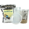 image:imageJoshs Frogs Bean Beetle Culture Kit