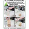 image:imageJoshs Frogs Hydei Fruit Fly Culture Kit Makes 10 CulturesMelanogaster Fruit Fly Culture Kit