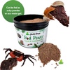 image:imageJoshs Frogs Pod Power Isopod and Invertebrate Powder and Gel Diet 6 oz