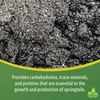 image:imageJoshs Frogs Spring to Life Powdered Springtail Food 4 oz