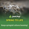 image:imageJoshs Frogs Spring to Life Powdered Springtail Food 4 oz