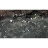 image:imageJoshs Frogs Springtail Culture Kit