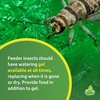 image:imageJoshs Frogs Insect Watering Gel 16 oz128 Fl Oz Pack of 1