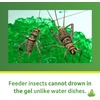 image:imageJoshs Frogs Insect Watering Gel 16 oz16 Fl Oz Pack of 1