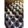 image:imageJoshs Frogs Premium Cricket Cuisine Calcium Watering Gel and Egg Flat Gutloading Bundle Large