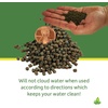 image:imageJoshs Frogs Dart Frog Tadpole Food 2 oz2 Ounce Pack of 1