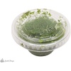 image:imageJoshs Frogs Duckweed Lemna Minor 4 oz