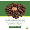 image:imageJoshs Frogs Juvenile Aquatic Turtle Food 35 oz103 Pound Pack of 1